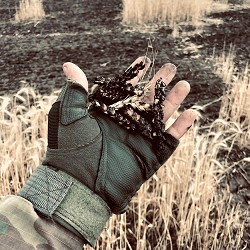 Гаррі Шульц, Хук - Вугледар