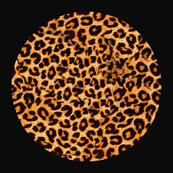 Ницо Потворно - Літо