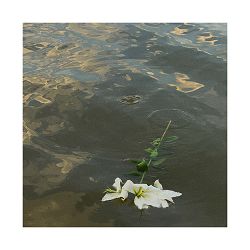 Швєд - Чи ти щаслива