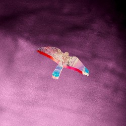 SI Process - Боривітер